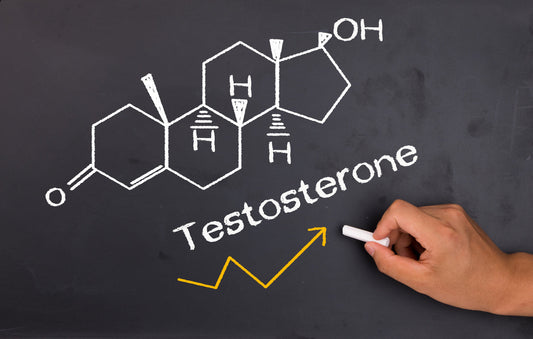 does vitamin d3 increase testosterone