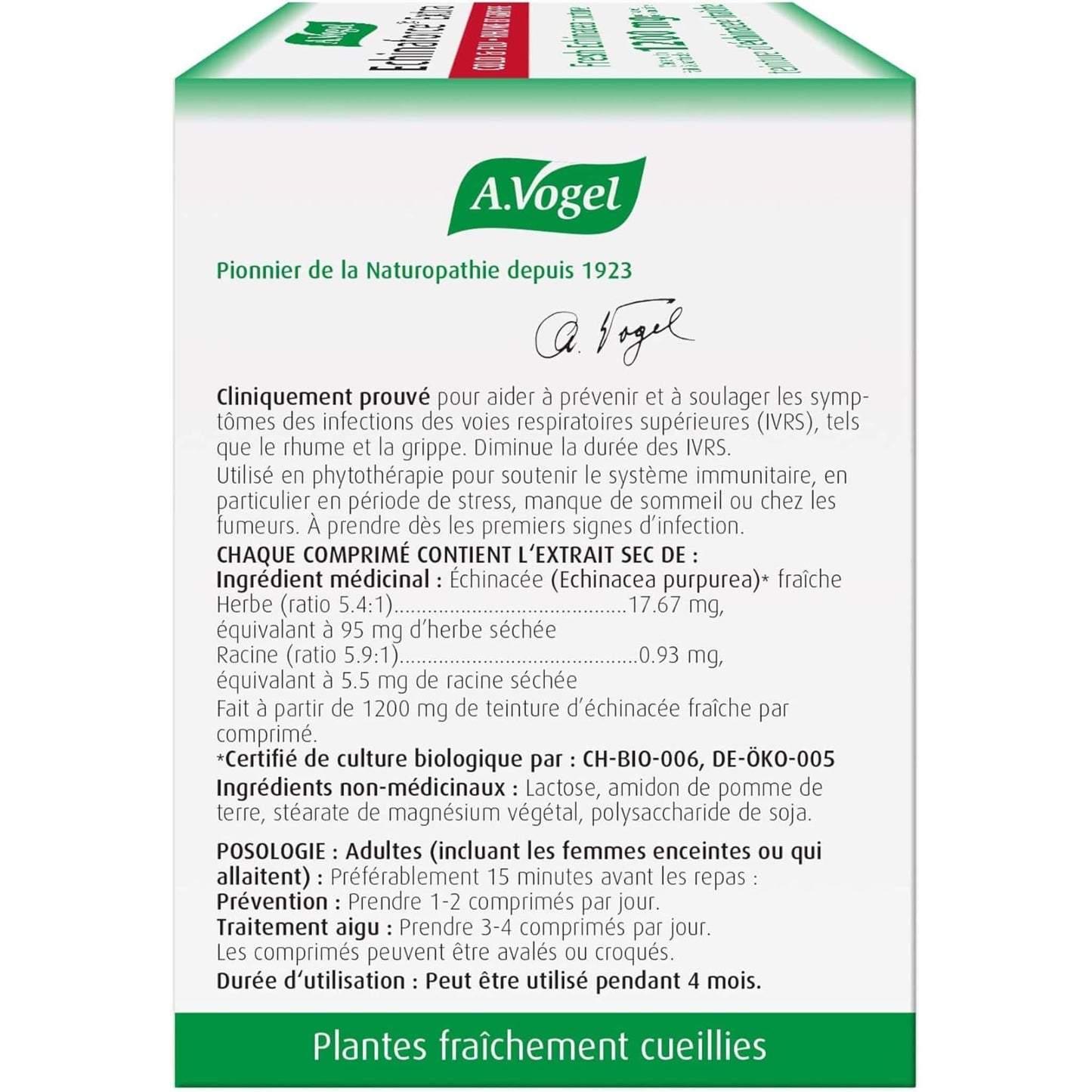 120 Tablets | A. Vogel Echinaforce Extra, Cold and Flu