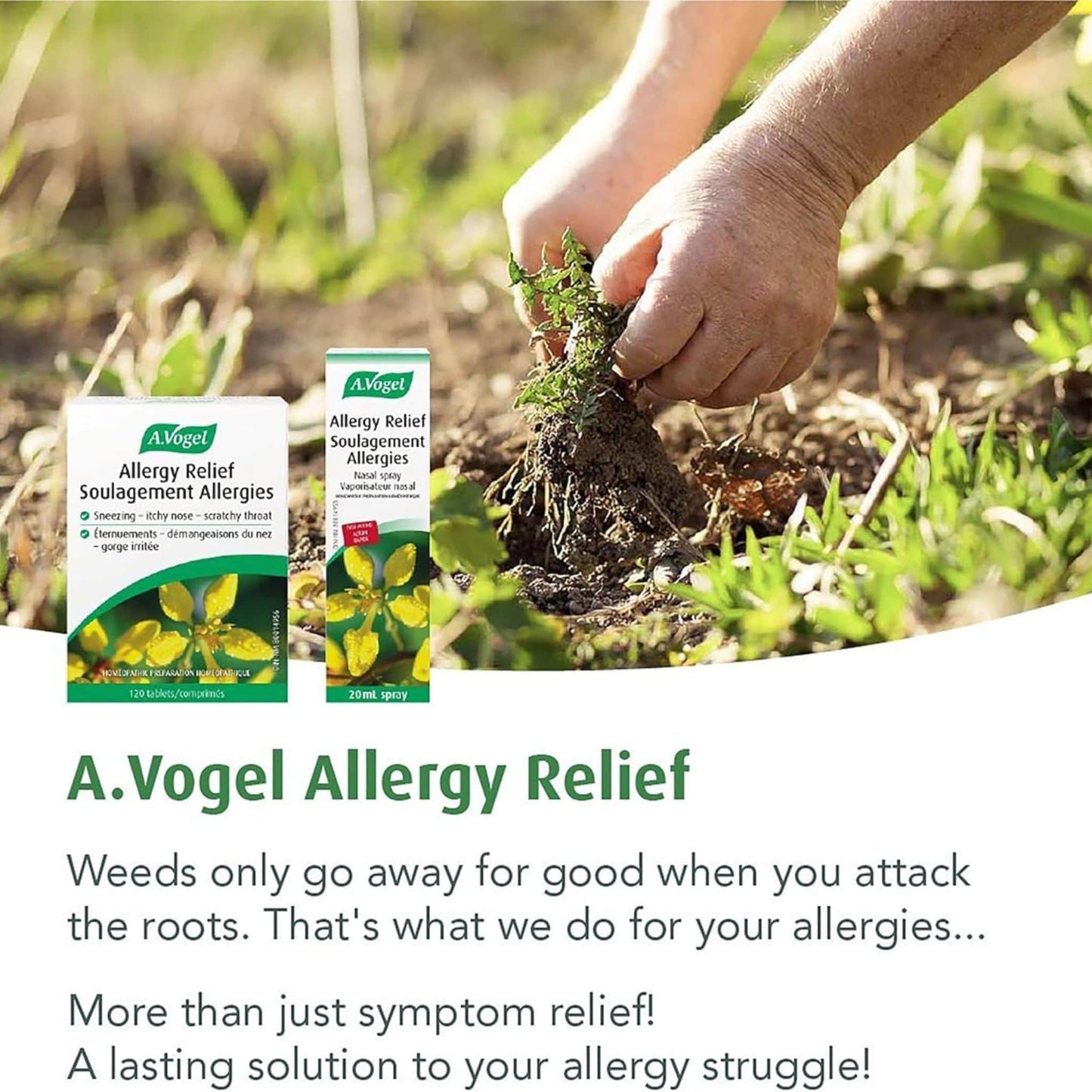 120 Tablets | A. Vogel Allergy Relief