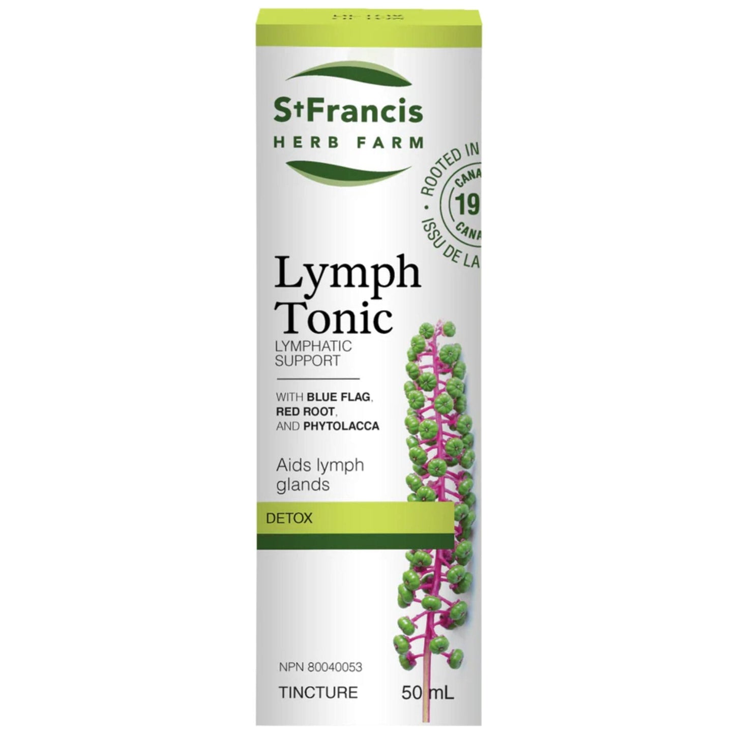 50 ml | St. Francis Lymph Tonic