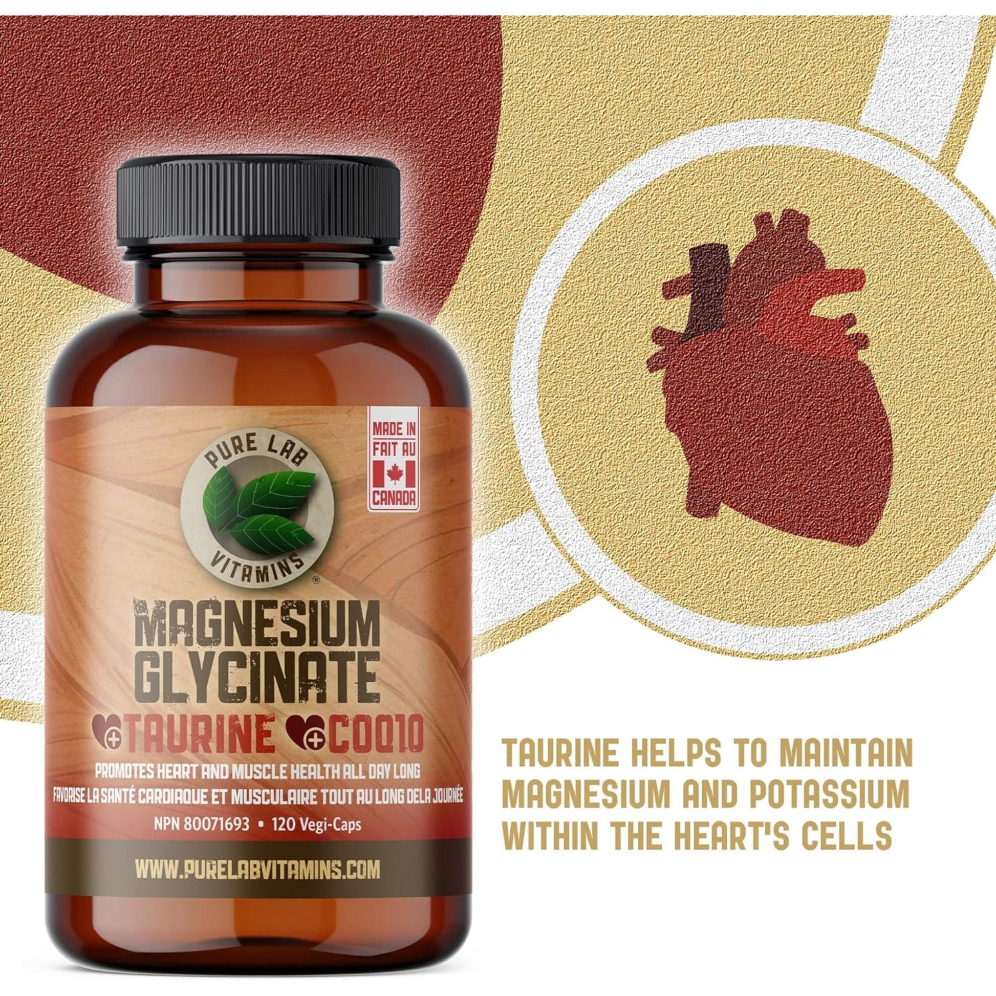 120 Vegetable Capsules | Pure Lab Vitamins Magnesium Glycinate + Taurine + COQ10 Infographic