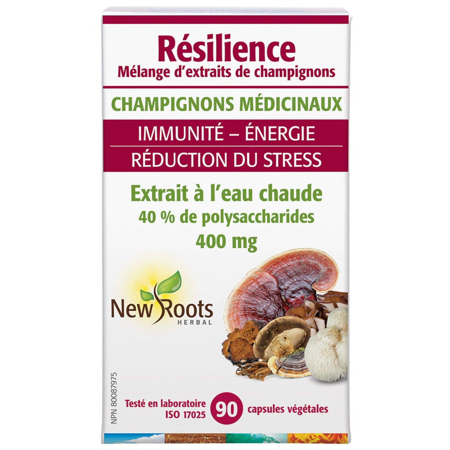 90 Vegetable Capsules | New Roots Herbal Resilience Mushroom Extract Blend // unflavoured