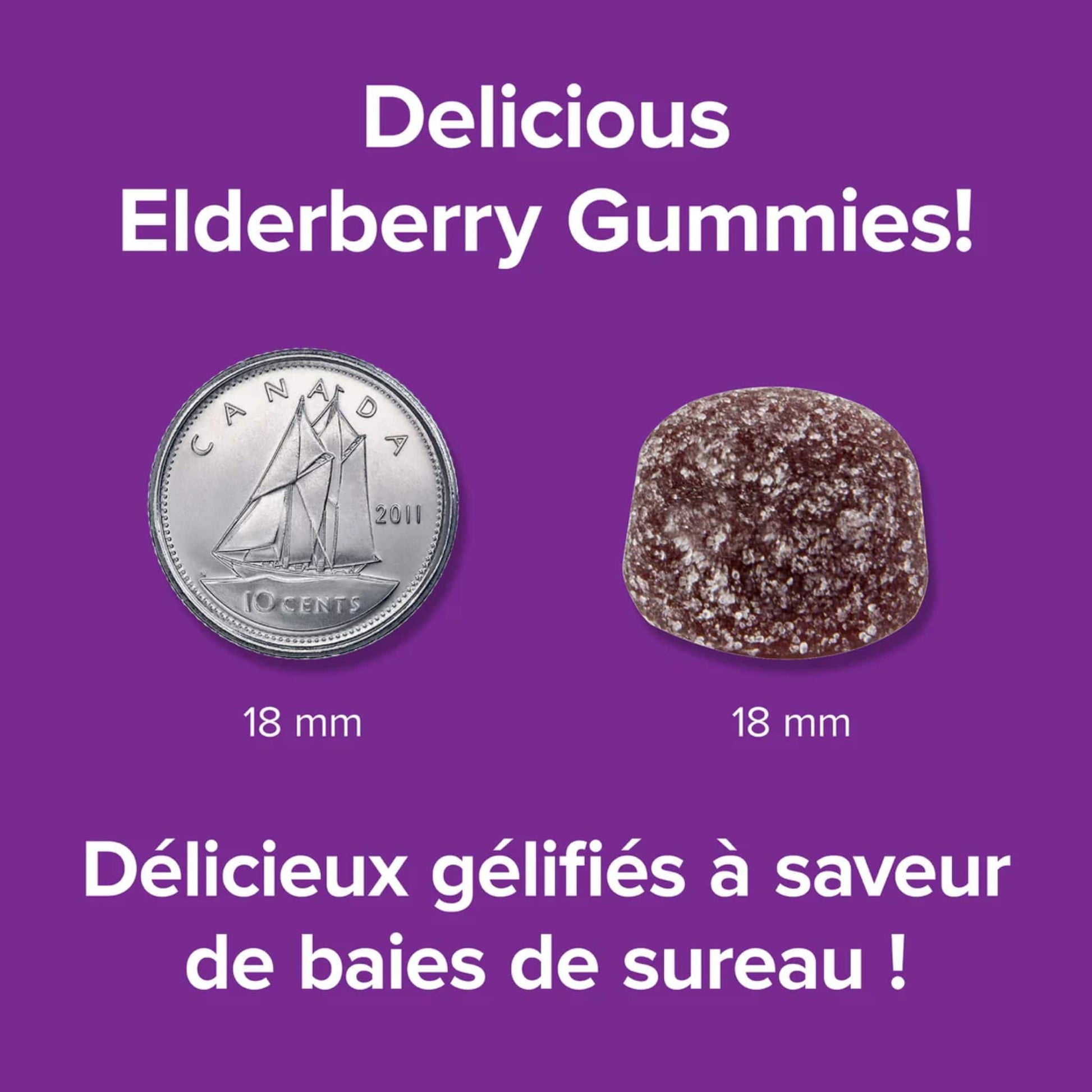 Elderberry 110 Easy Chew Gummies | Webber Naturals Collagen30 Beautiful Skin 2500mg // Size