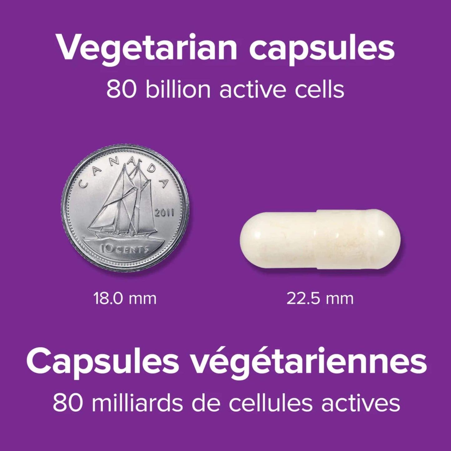 20 Vegetarian Capsules | Webber Naturals Probiotic 80 Billion, Supports Gastrointestinal Health // Size Comparison