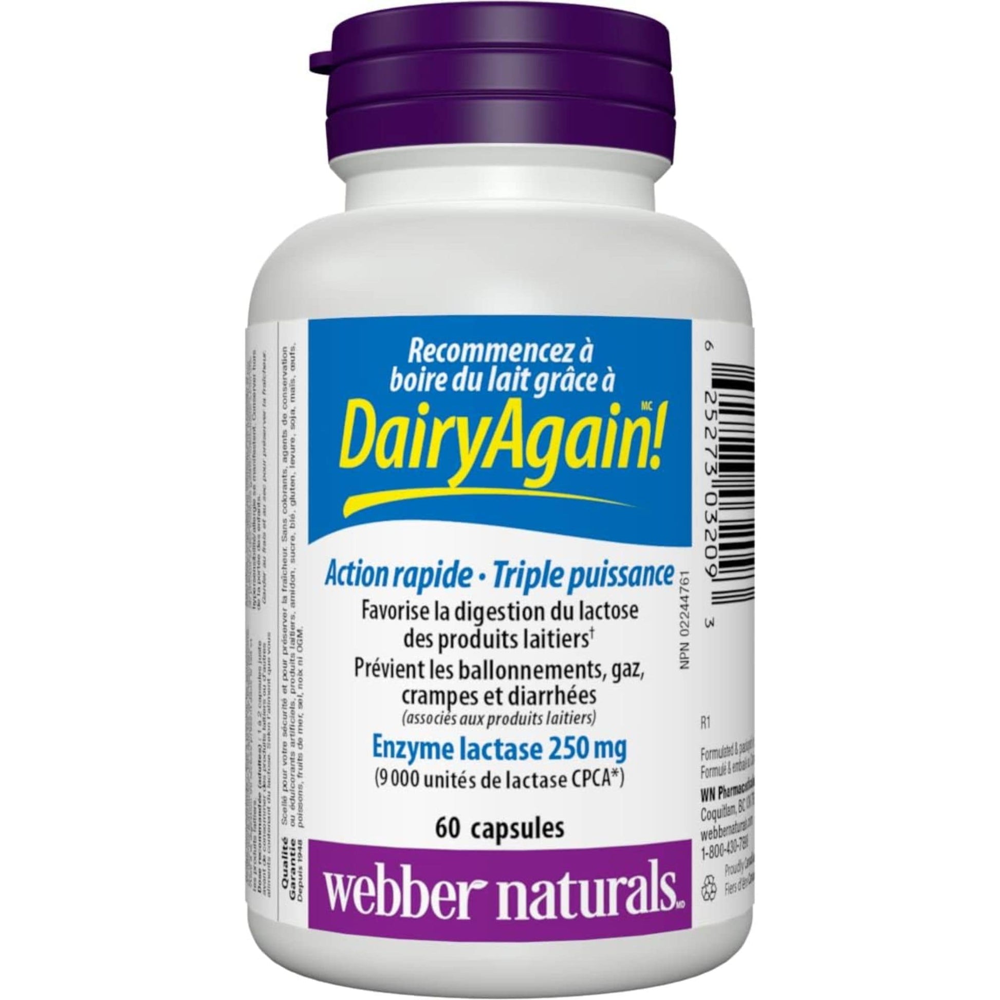 60 Capsules | Webber Naturals Dairy Again Lactose Enzyme // french bottle