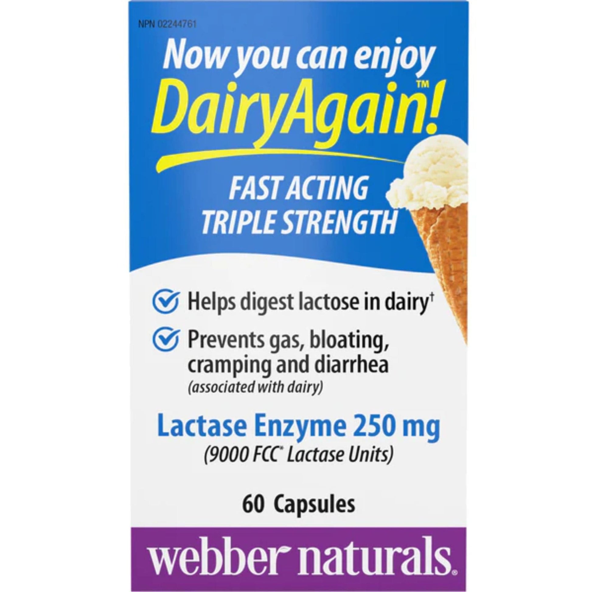 60 Capsules | Webber Naturals Dairy Again Lactose Enzyme