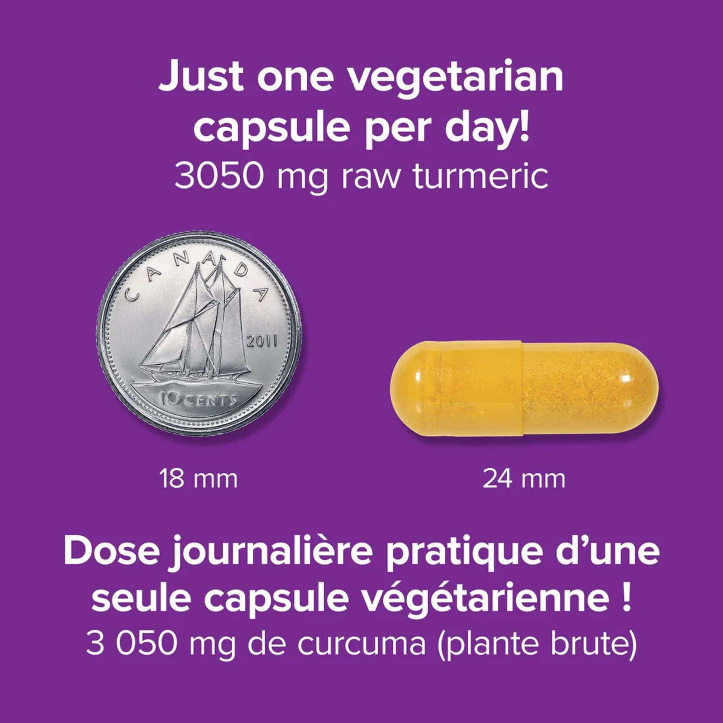 60 Vegetarian Capsules | Webber Naturals Turmeric Curcumin 3,050mg // Infographic