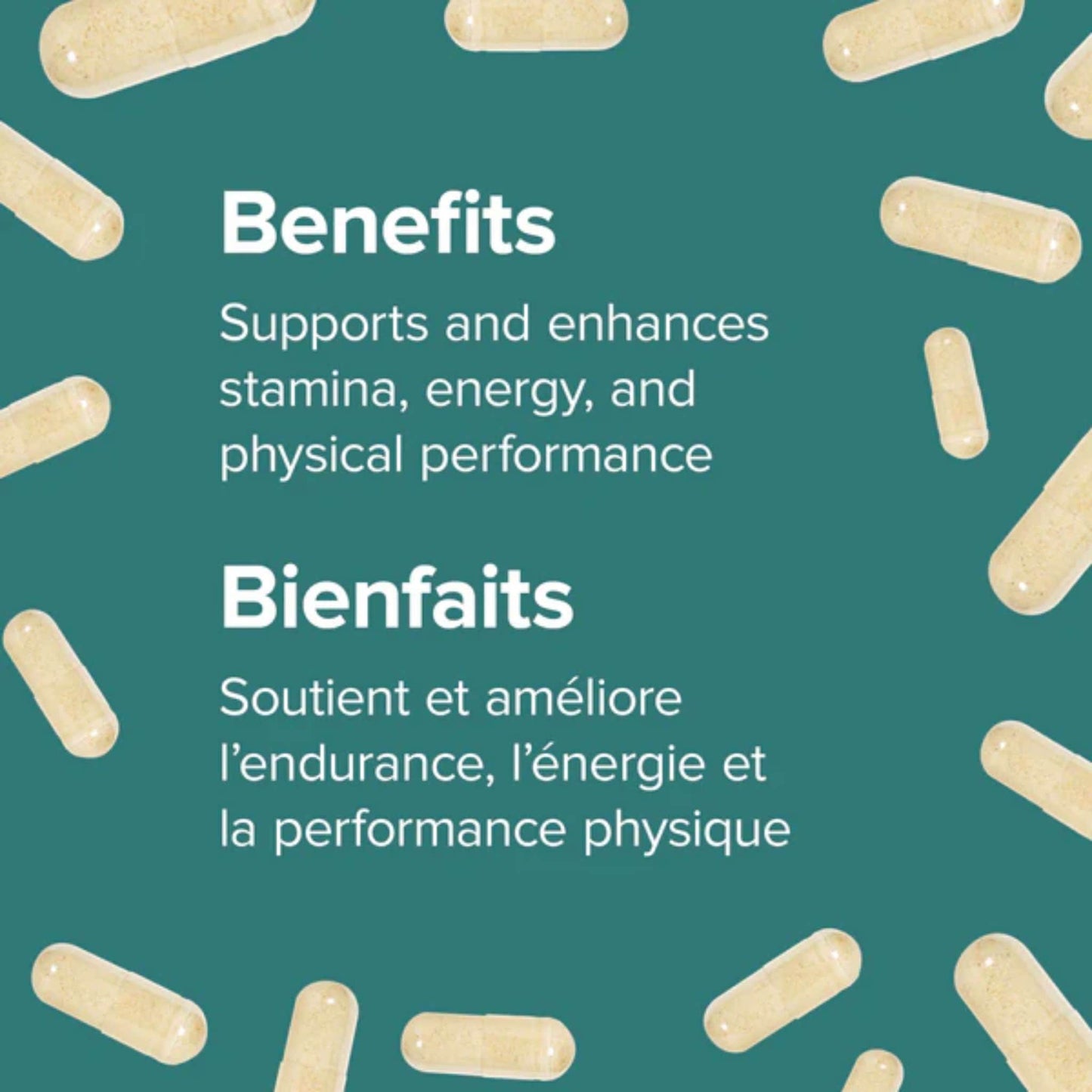 150 Vegetarian Capsules | Webber Naturals Maca Energy 500/200mg with Ginseng // Infographic