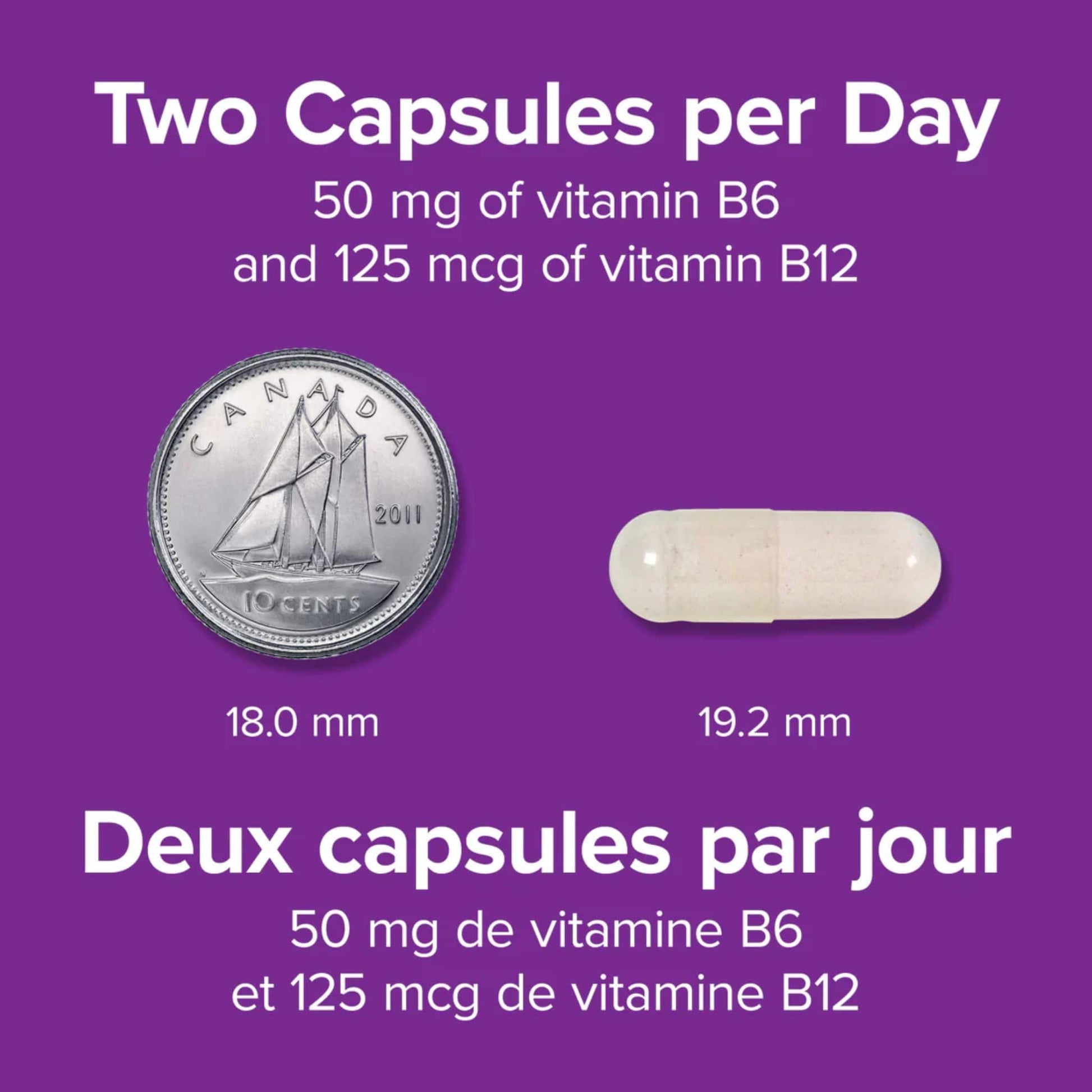 120 Capsules | Webber Naturals B6 + B12 50mg/125mcg with Folic Acid // infographic