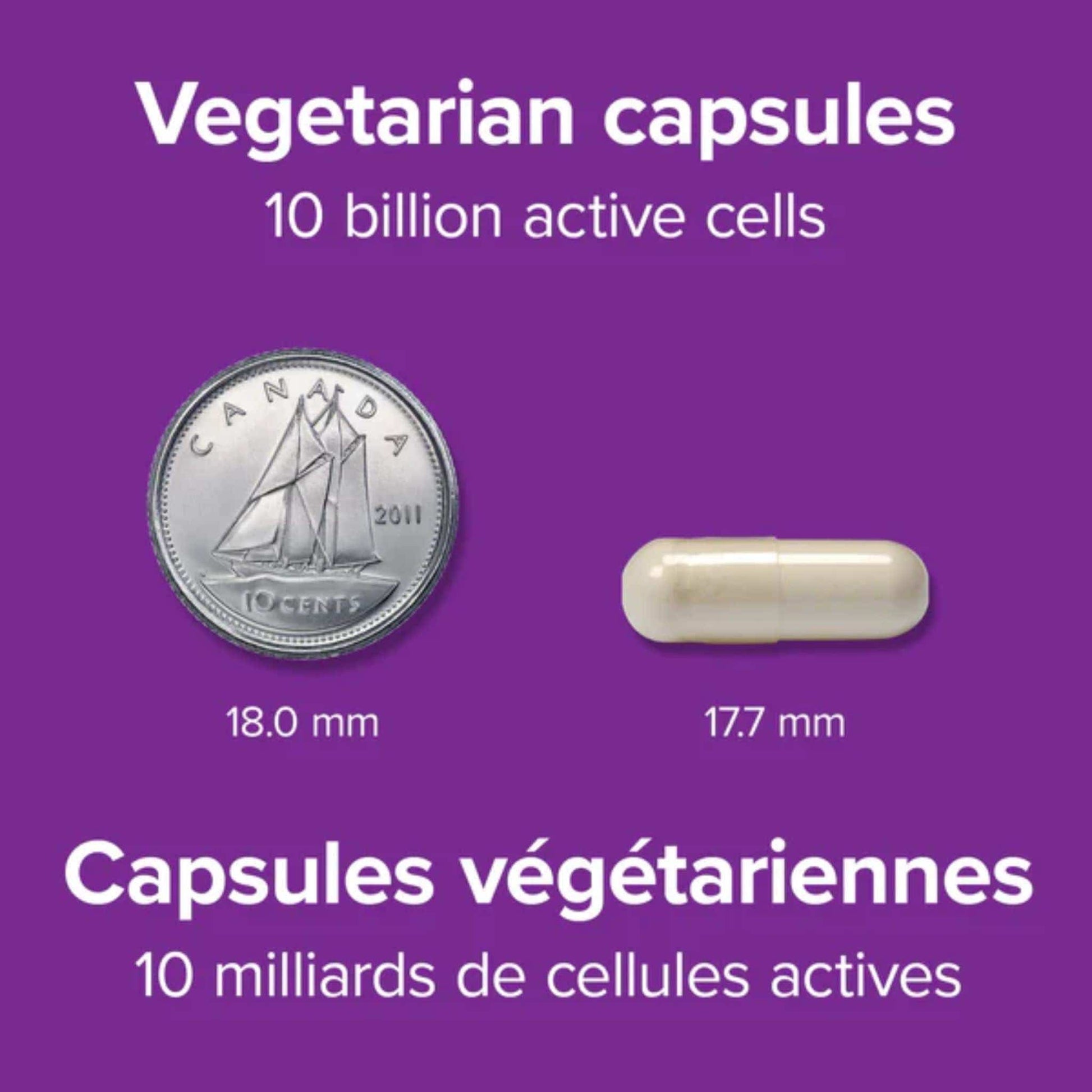 40 Vegetarian Capsules | Webber Naturals Probiotic 10 Billion, 5 Probiotic Strains // Infographic