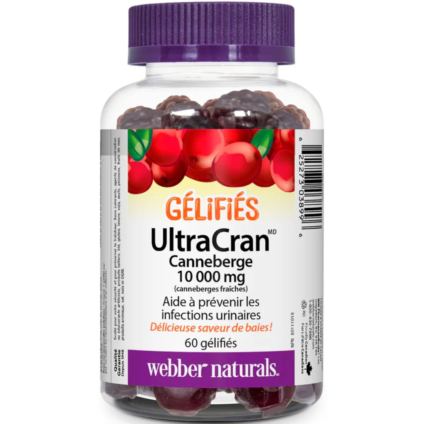 Berry 60 Gummies | Webber Naturals Gummies UltraCran Cranberry 10,000mg // French Bottle