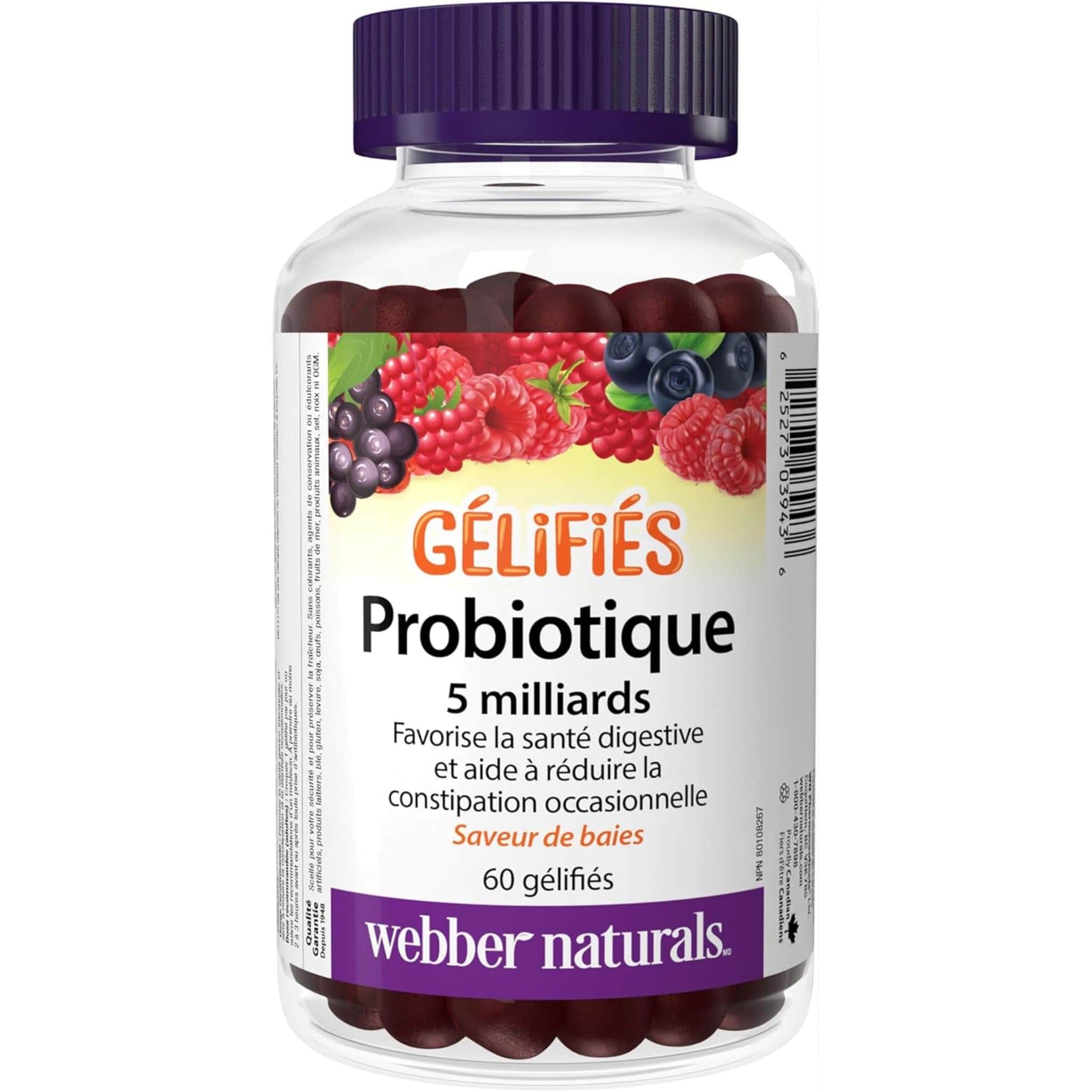 Berry Flavour, 60 Gummies | Webber Naturals Probiotic 5 Billion Gummies // french bottle