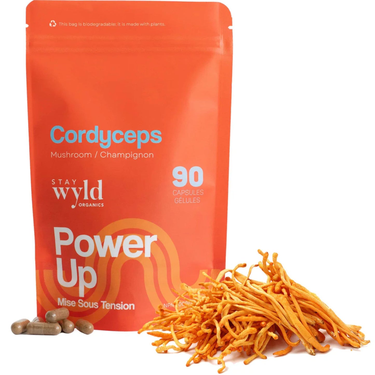 90 Capsules | Stay Wyld Organics Cordyceps, Power Up