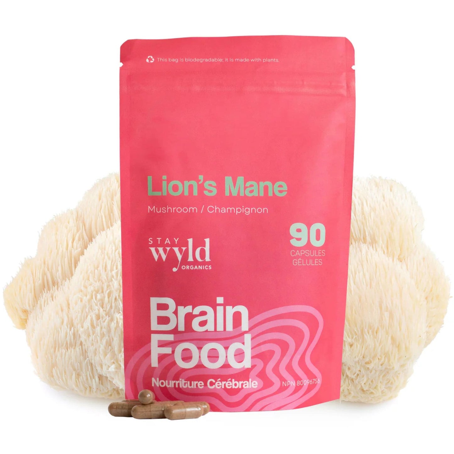 90 Capsules | Stay Wyld Organics Lion's Mane, Brain Food