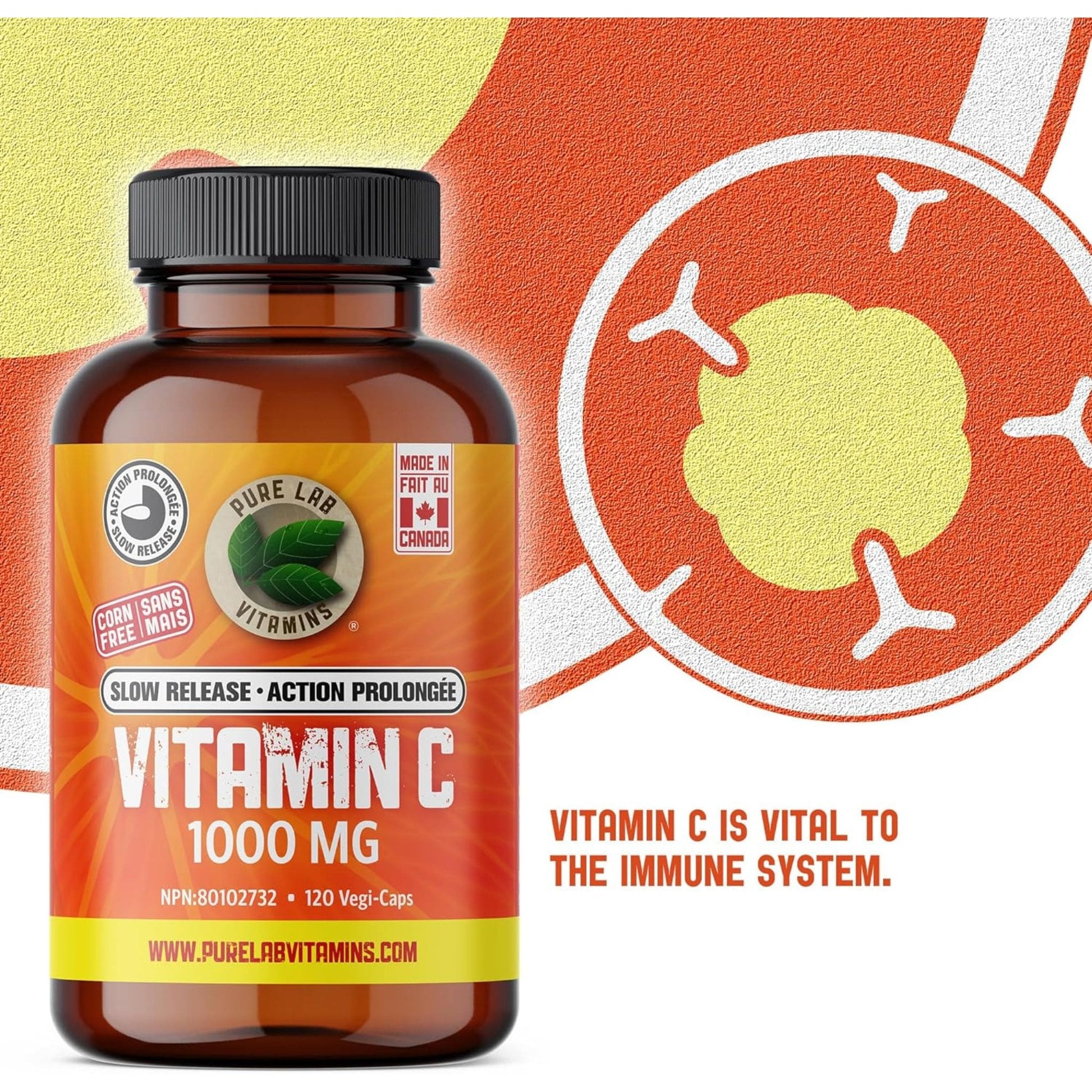 120 Vegetable Capsules | Pure Lab Vitamins Vitamin C 1000 MG Slow Release Infographic