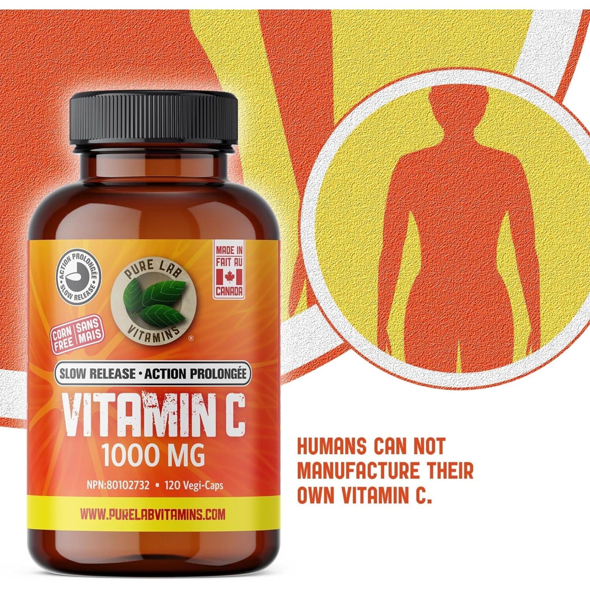 120 Vegetable Capsules | Pure Lab Vitamins Vitamin C 1000 MG Slow Release Infographic