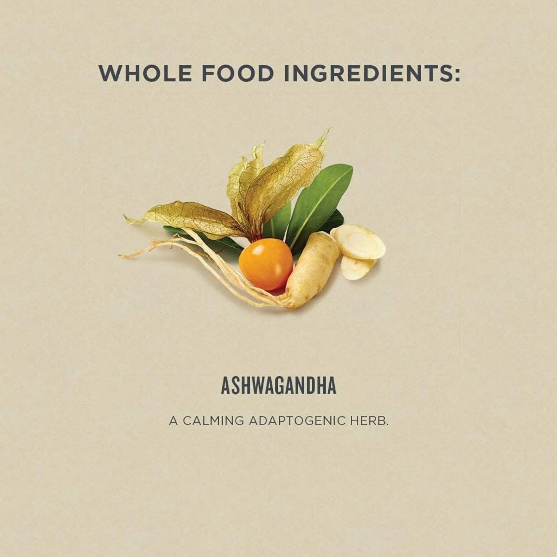 50 mL | Botanica Ashwagandha Liquid Herb // key ingredients