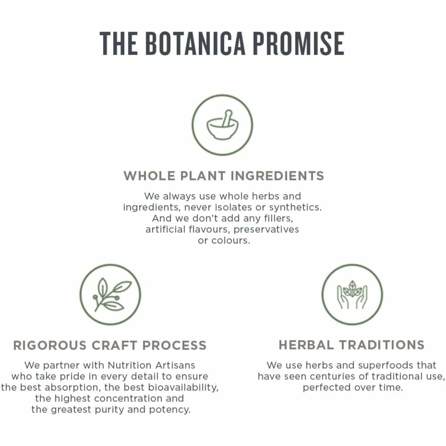 50 mL | Botanica Ginkgo Liquid Herb // promise