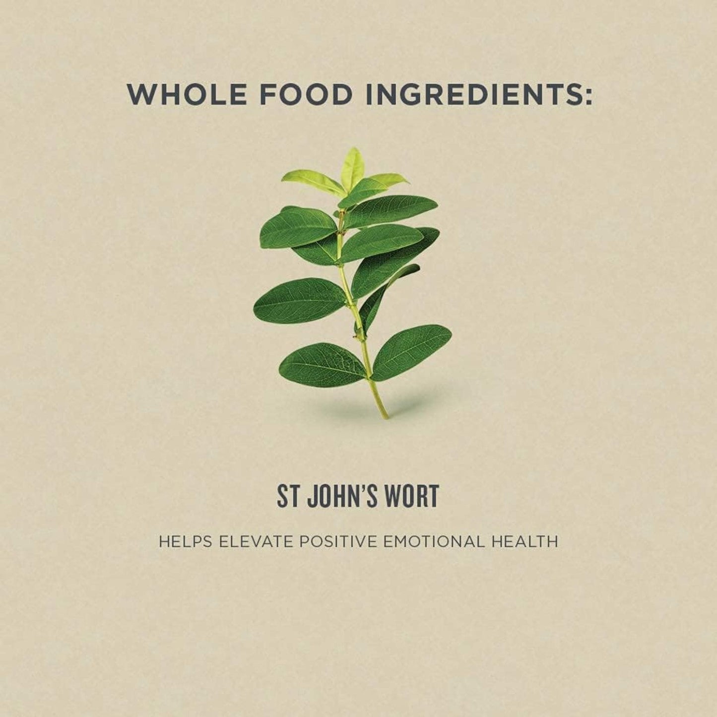 50 mL | Botanica St John's Wort Liquid Herb // main ingredient