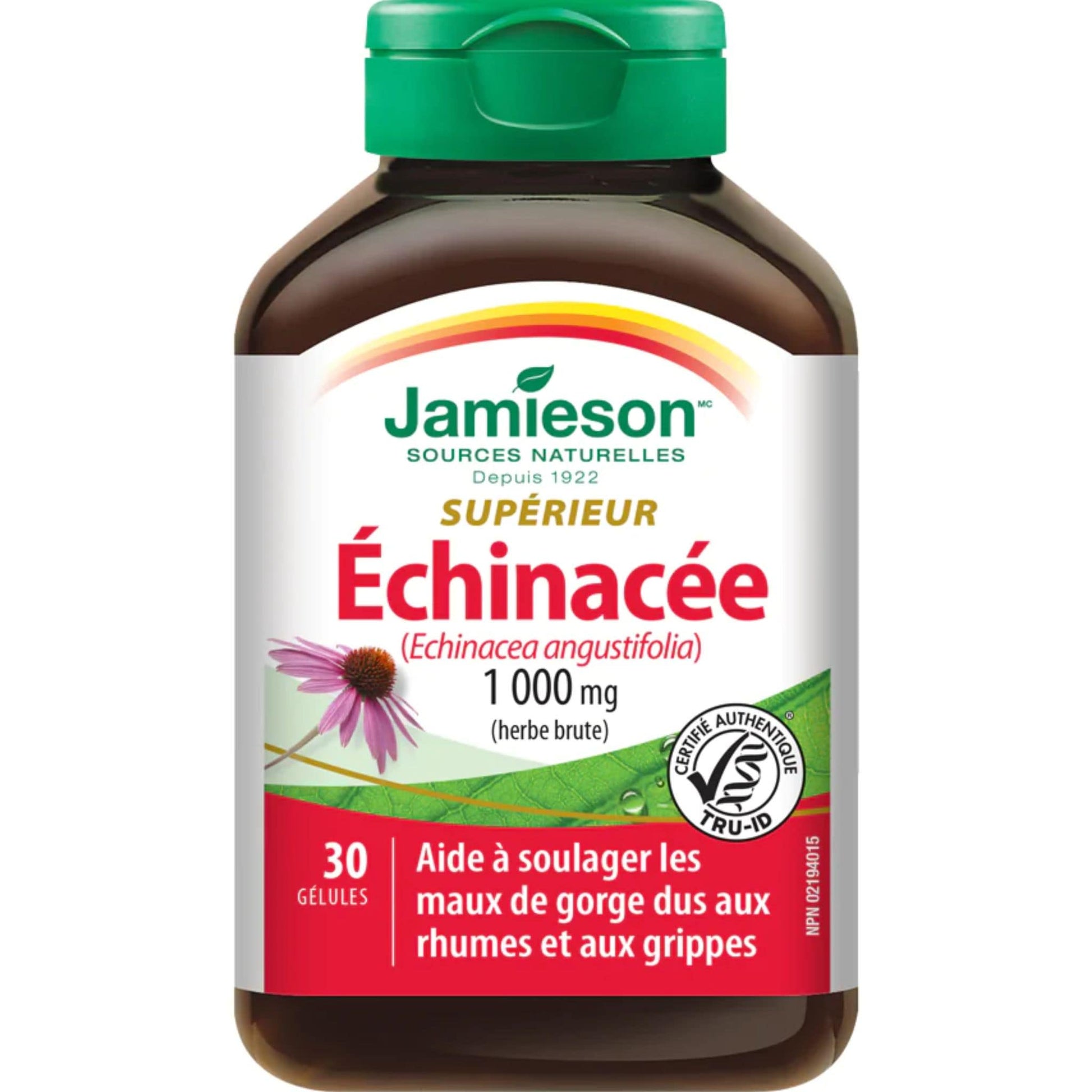 30 Softgels | Jamieson Premium Echinacea 1,000 mg // French Bottle