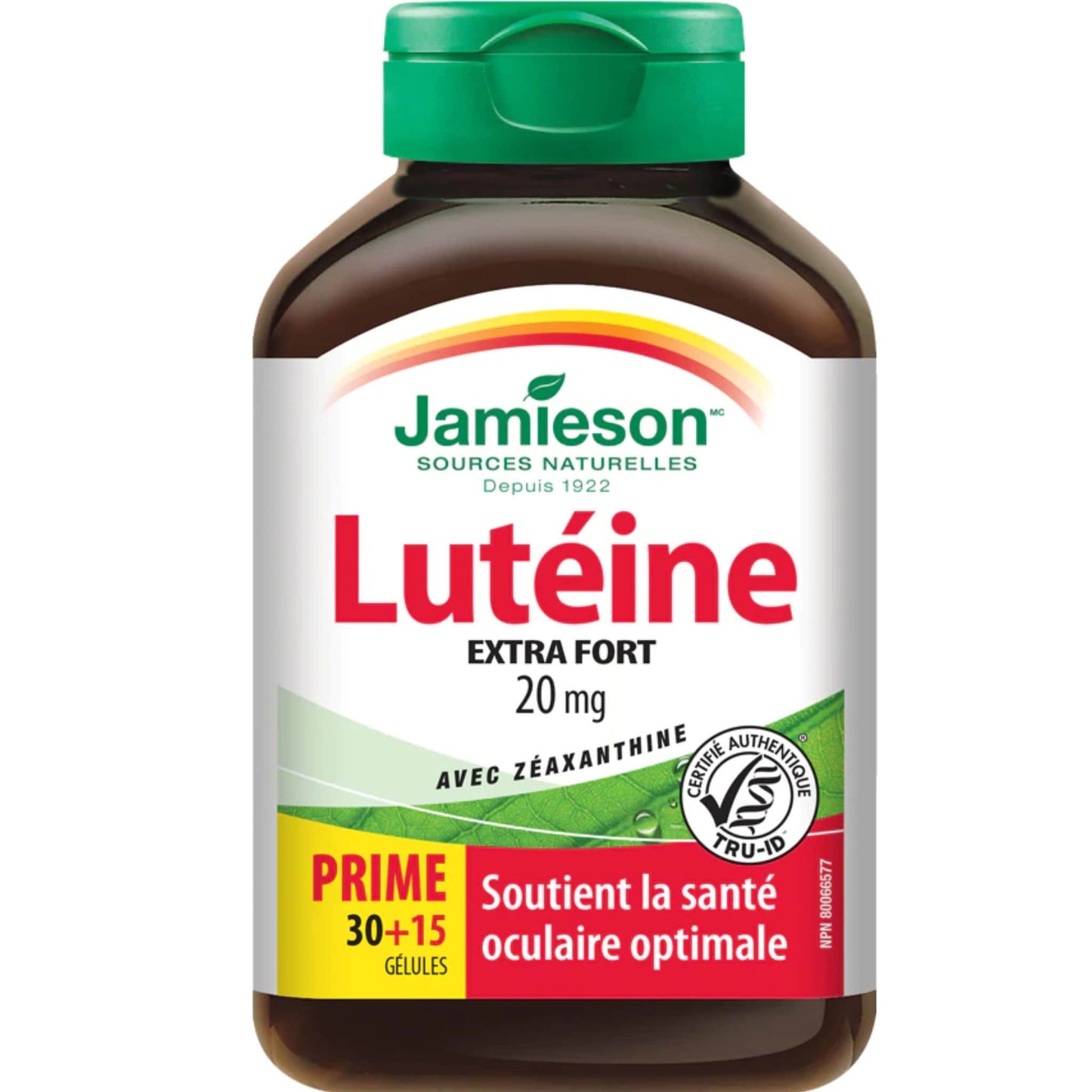 Bonus, 30+15 Softgels | Jamieson Lutein 20 mg with Zeaxanthin Extra Strength // French Bottle