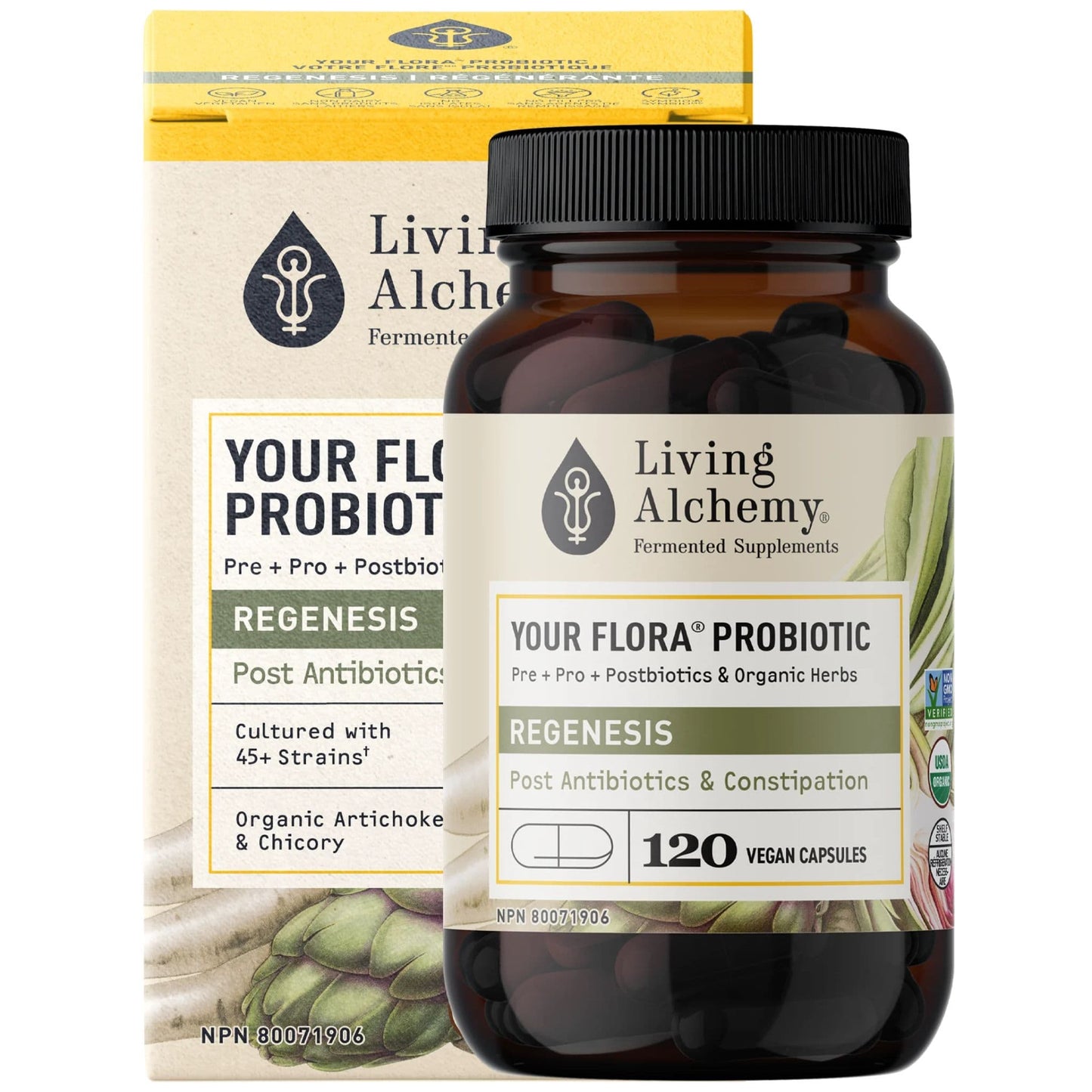 Living Alchemy Your Flora Regenesis, Rebuild gut flora after antibiotics, Slow/infrequent bowl movements