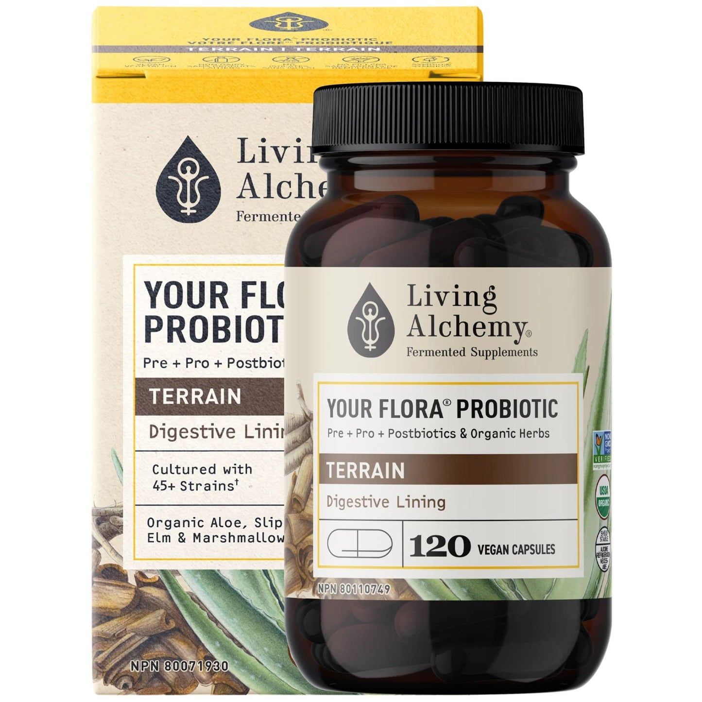 Living Alchemy Your Flora Terrain, For leaky gut, food sensitivities, celiac disease, and/or skin conditions such as eczema