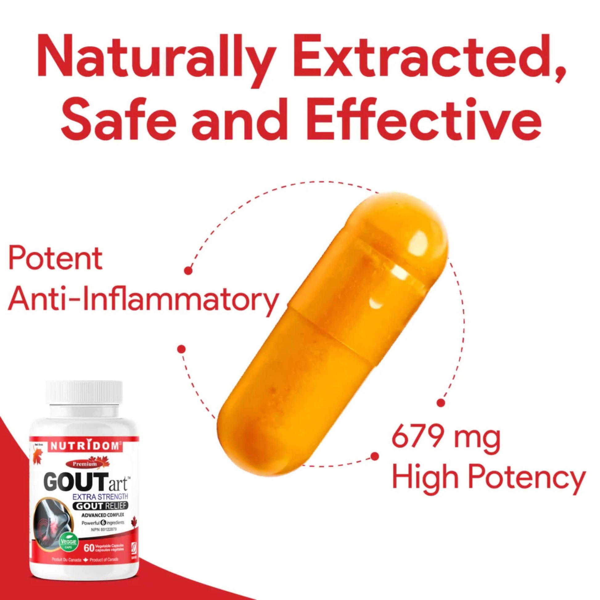 60 Vegetable Capsules | Nutridom GOUTart