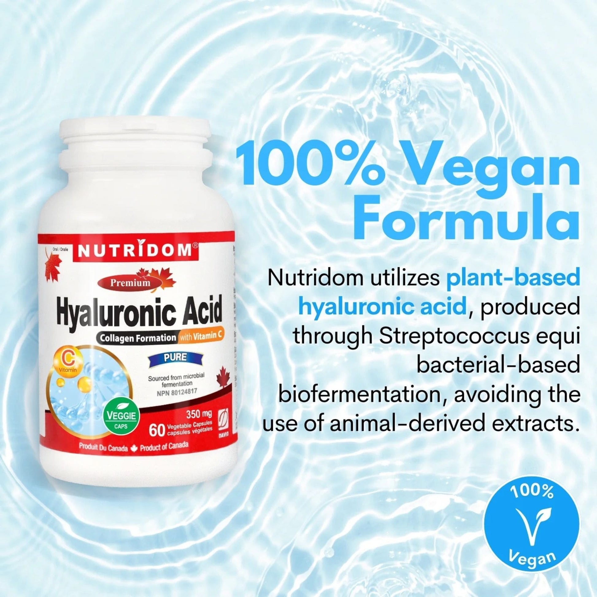 60 Vegetable Capsules | Nutridom Hyaluronic Acid