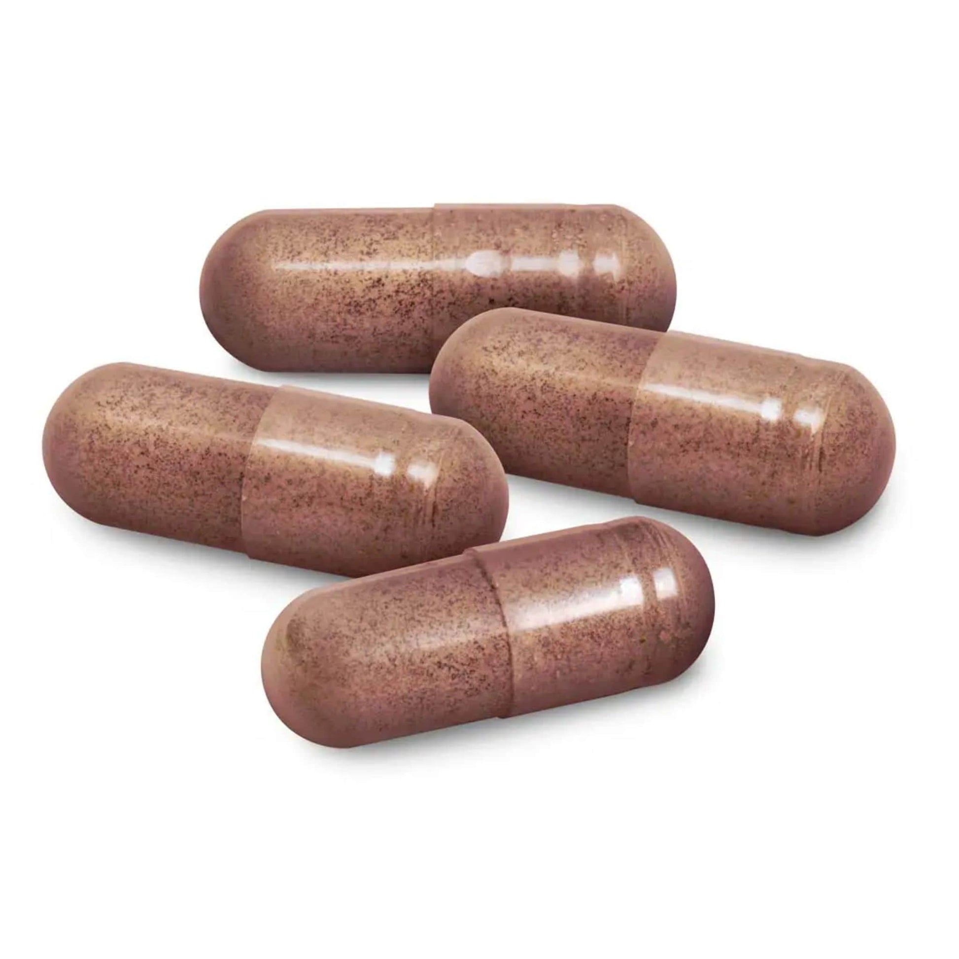 90 Vegetable Capsules | North American Herb and Spice Chaga Max // capsules size