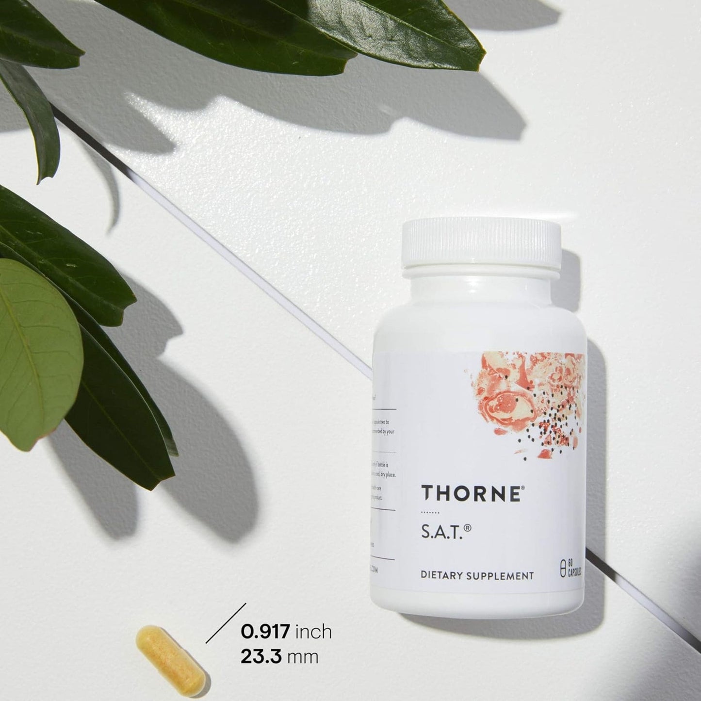 60 Capsules | THORNE S.A.T - Silymarin, Artichoke, Turmeric // Capsule Size