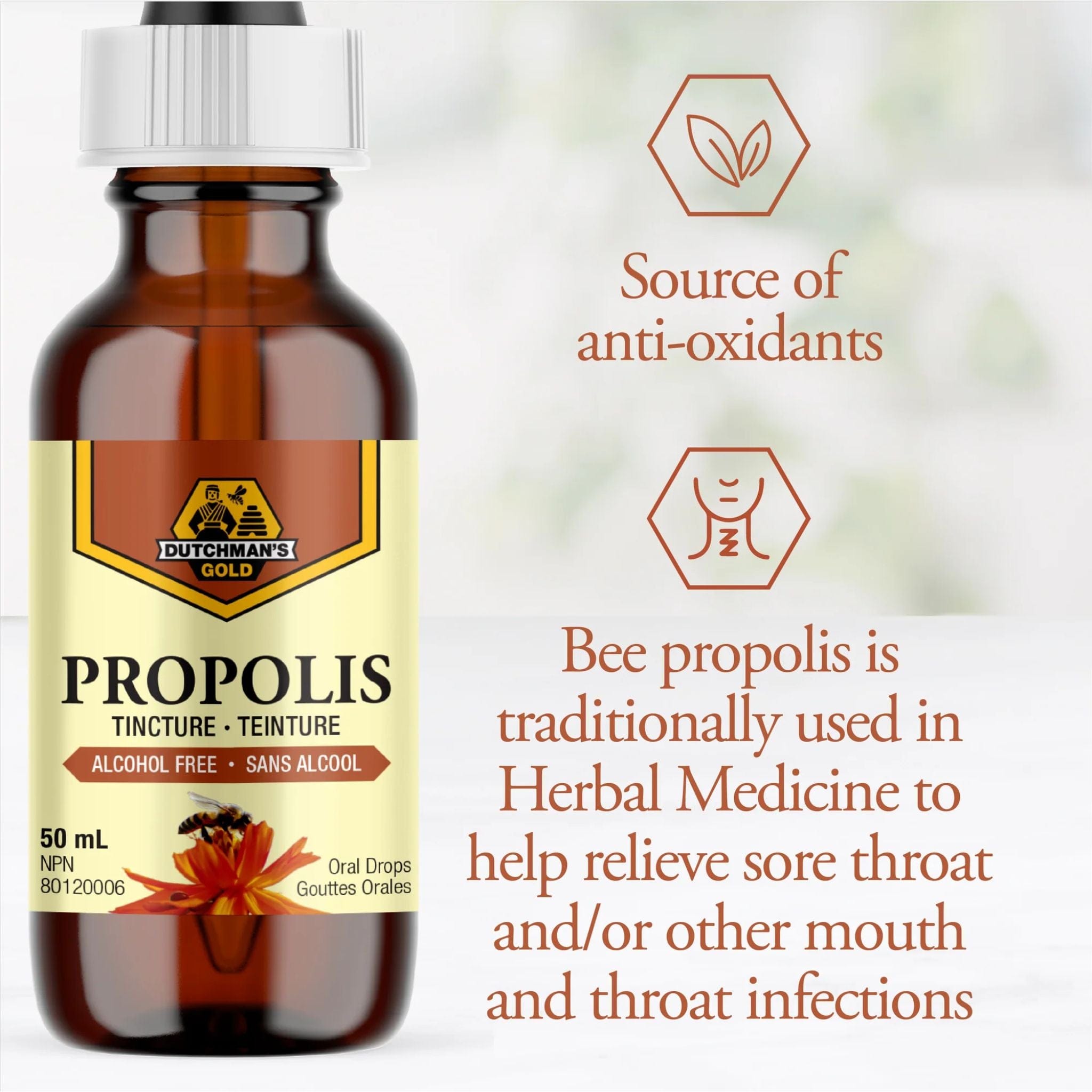 Dutchman s Gold Propolis Tincture Alcohol Free 50ml