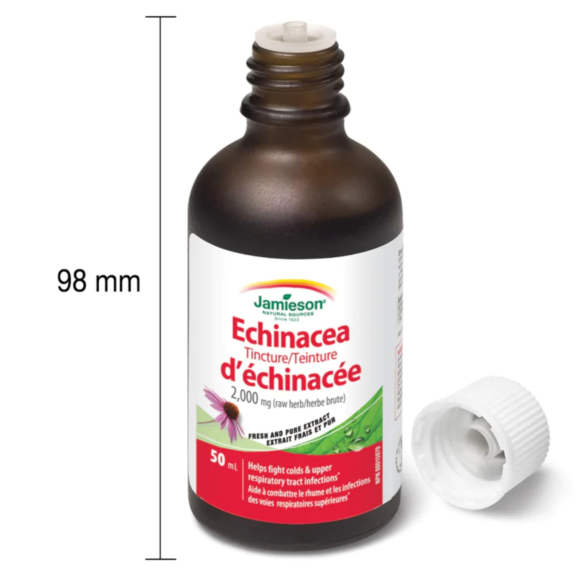 50 mL | Jamieson Echinacea Tincture 2,000 mg // size comparison