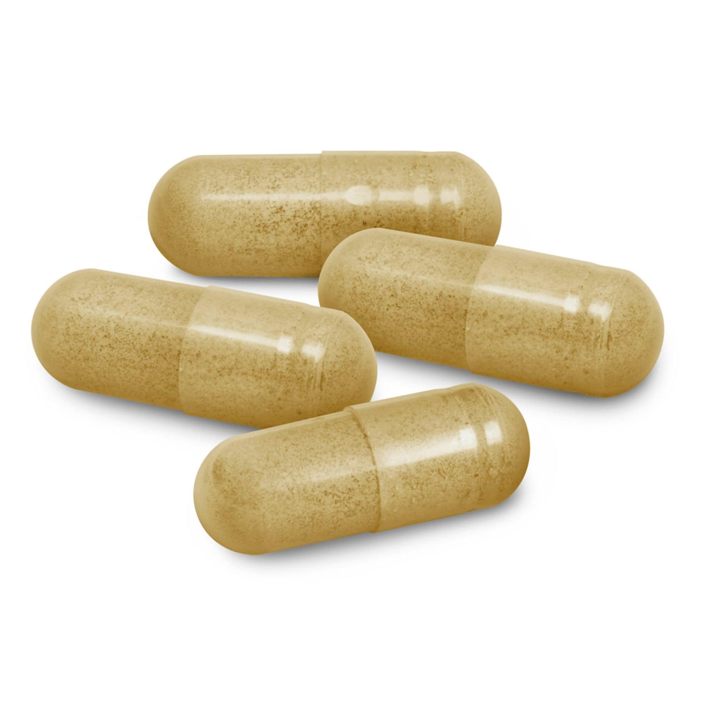 30-90 Vegetable Capsules | North American Herb and Spice OregaResp P73 // sizes