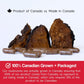 90 Capsules | Stay Wyld Organics Be Well, Chaga // product quality