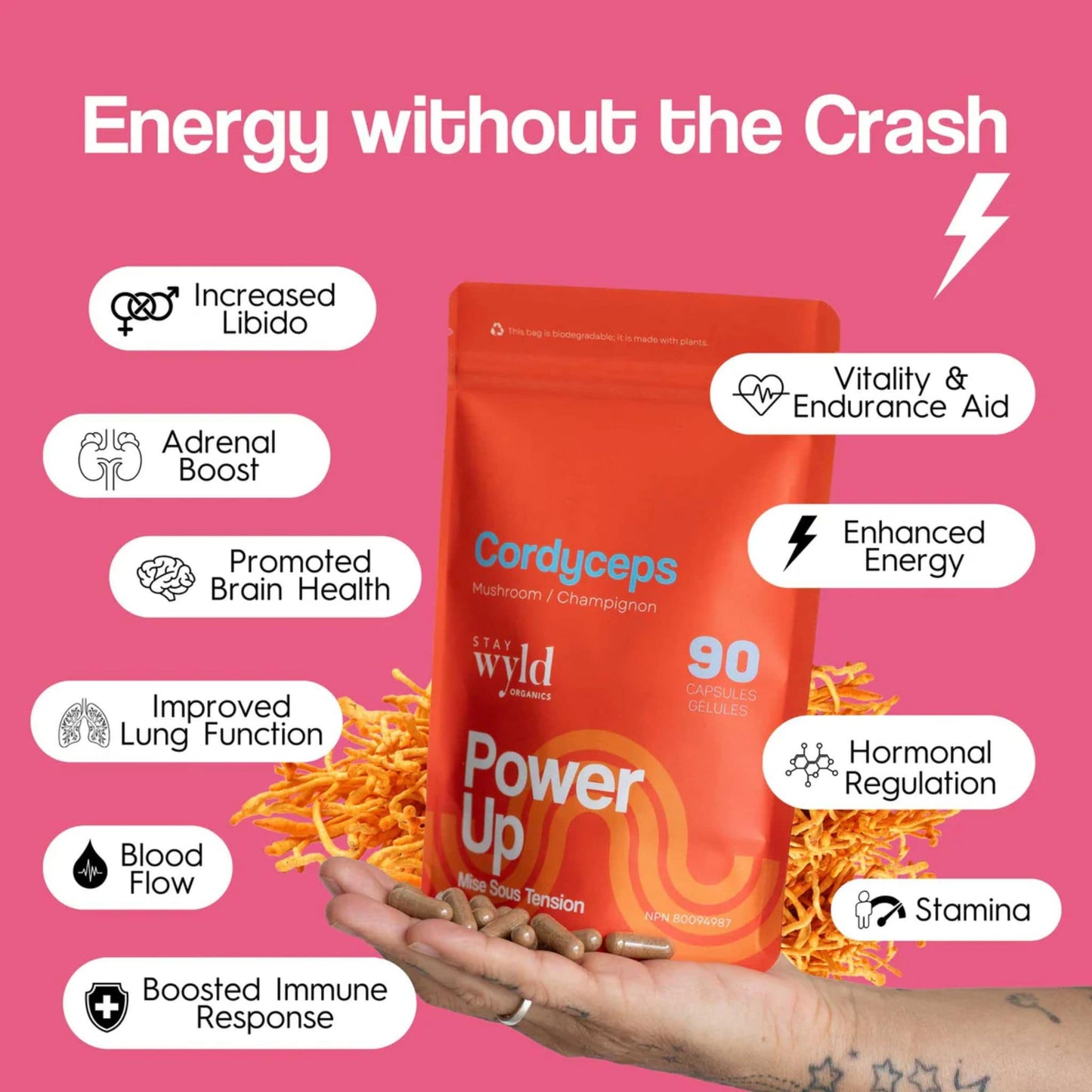 90 Capsules | Stay Wyld Organics Cordyceps, Power Up // benefits