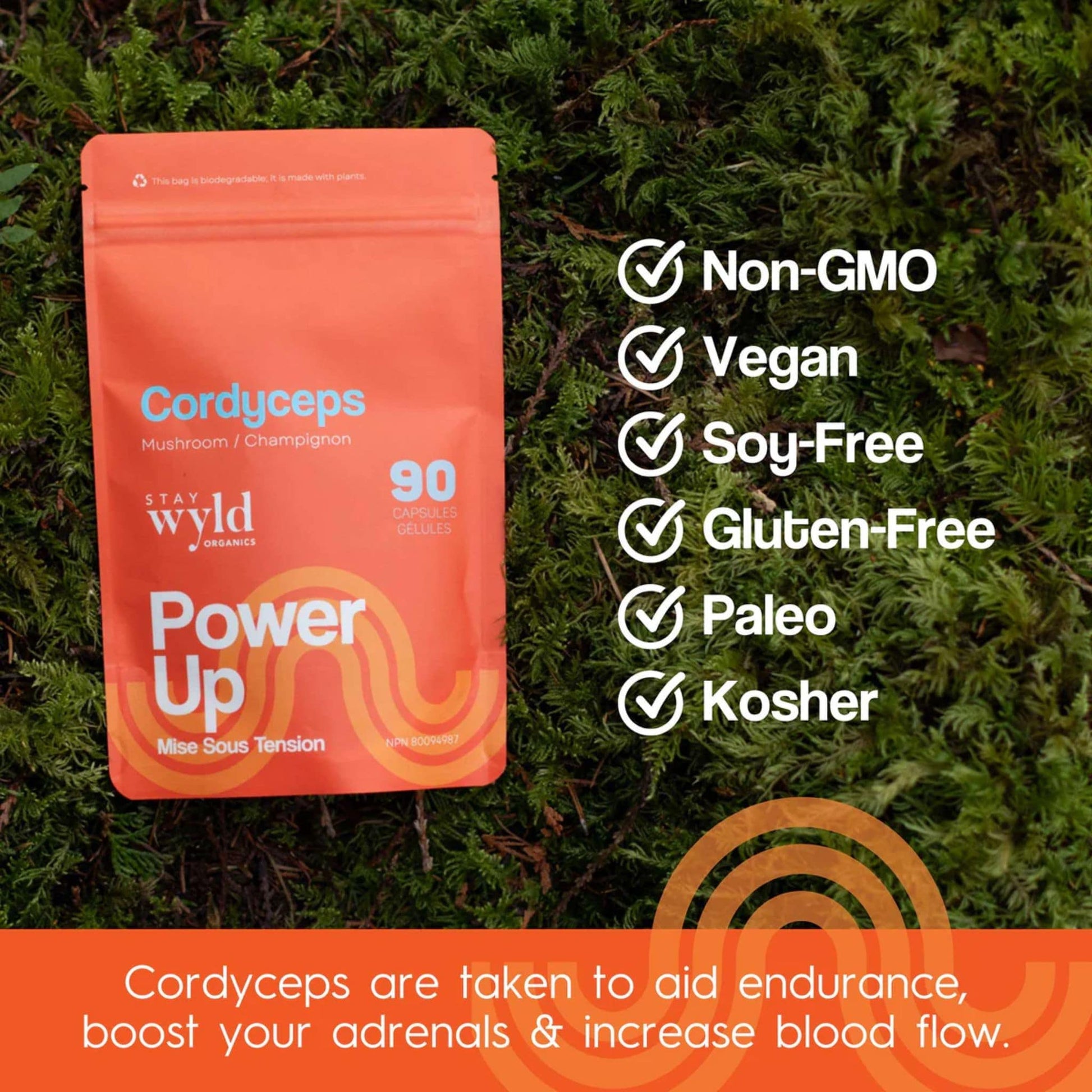 90 Capsules | Stay Wyld Organics Cordyceps, Power Up // features