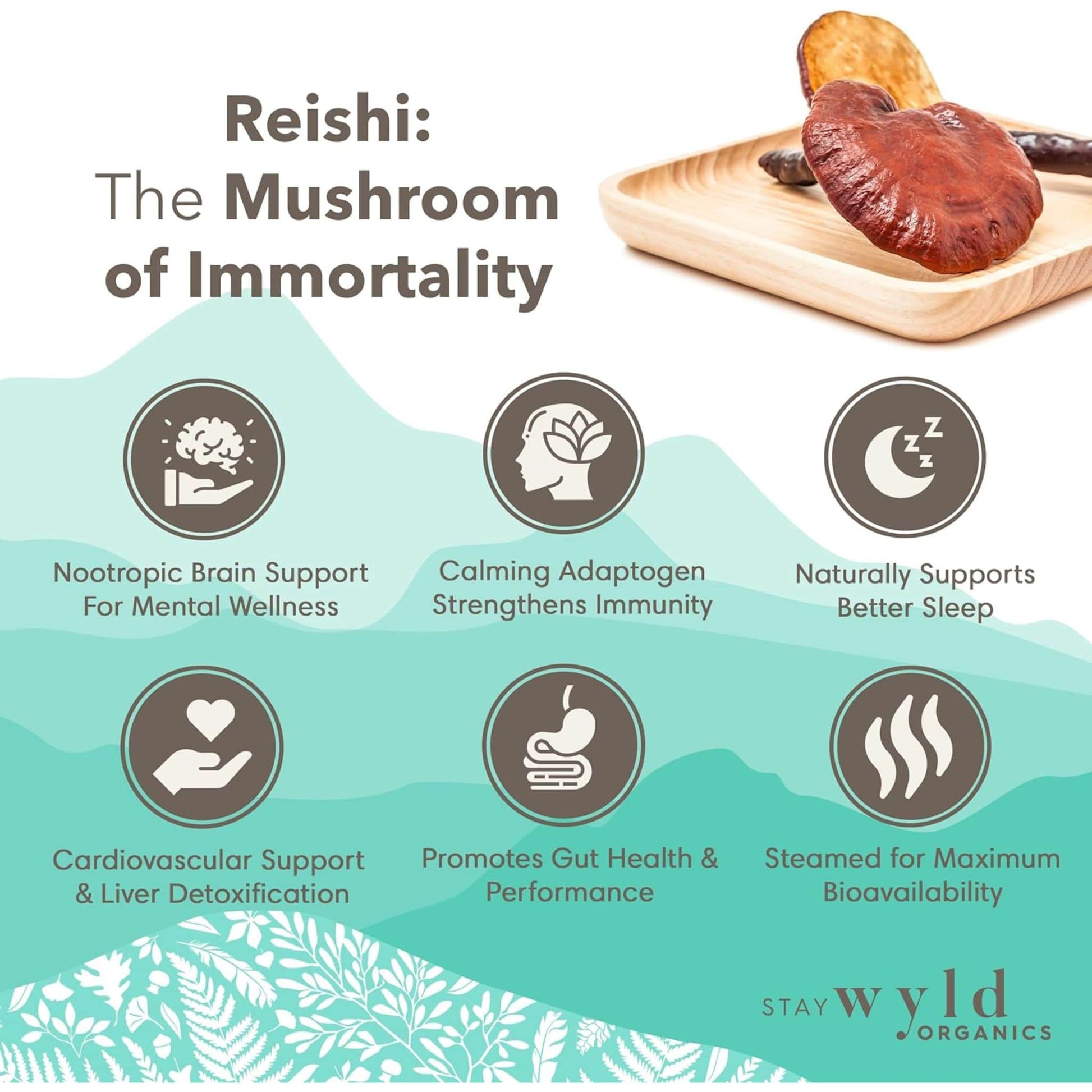 100g | Stay Wyld Organics Reishi Mushroom Powder // benefits