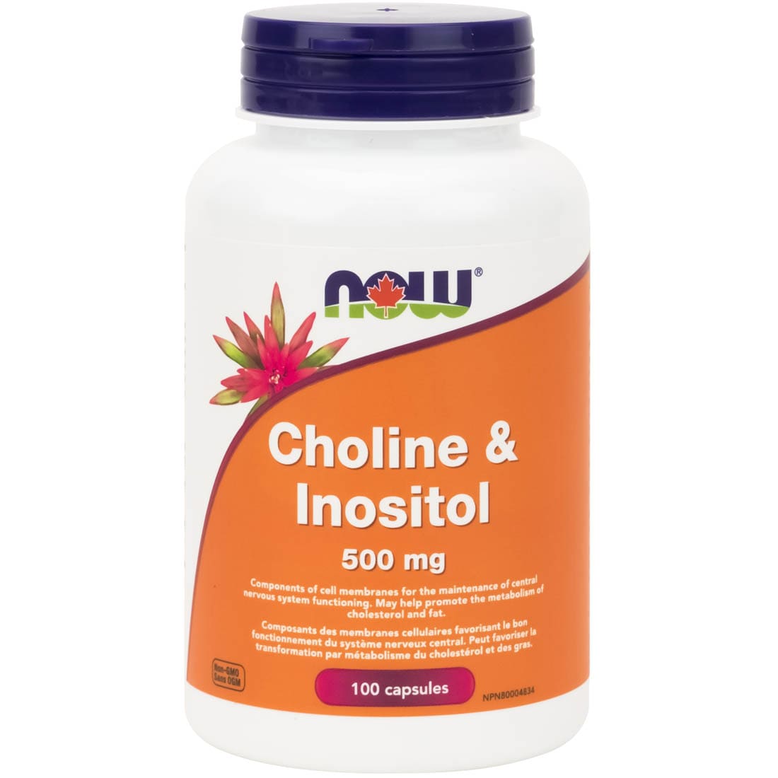 Buy Choline Online in Canada Vitamart.ca