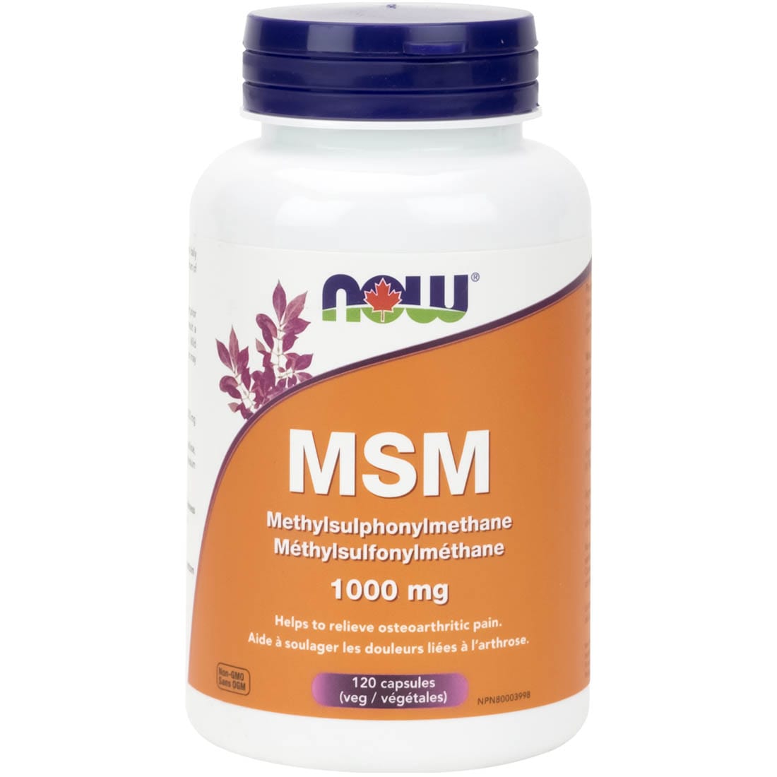 NOW MSM 1000mg