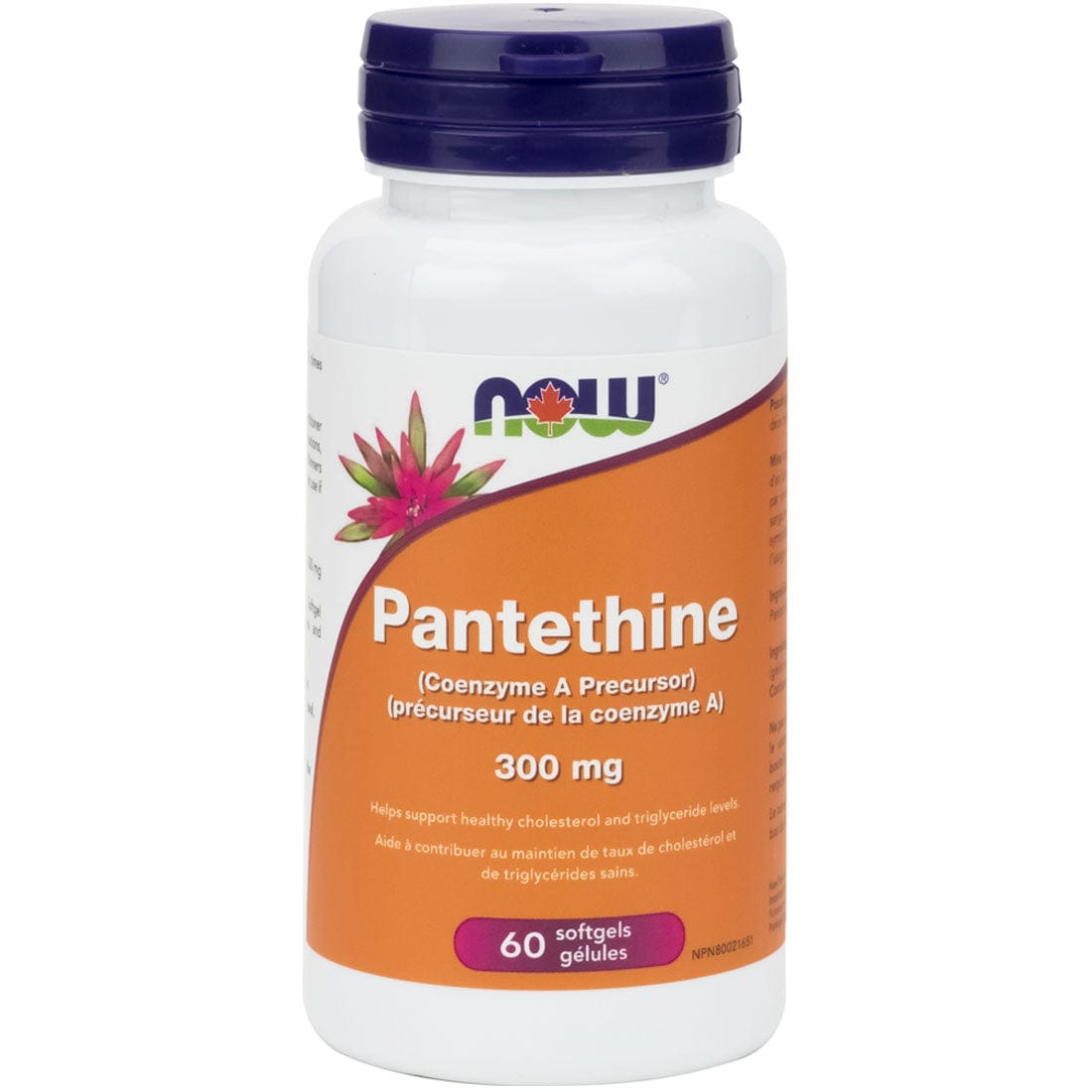 NOW Pantethine 300mg (Coenzyme A), 60 Softgels – Vitamart.ca