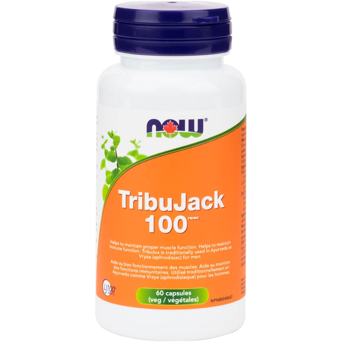 NOW TribuJack 100 with Longjack ZMA Male Performance Formula