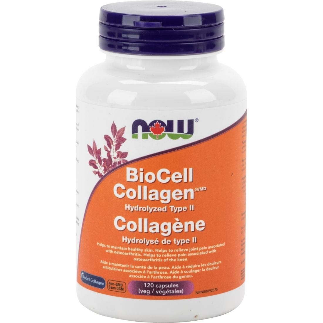 Now BioCell Type II Collagen 500mg, 120 Vegetable Capsules – Vitamart.ca